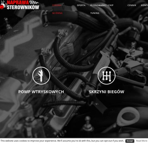 Naprawa sterowników i chip tuning