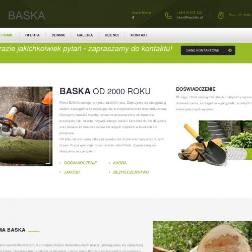 Wycinki drzew w województwie śląskim