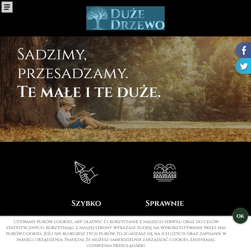 Przesadzanie drzew: mazowieckie