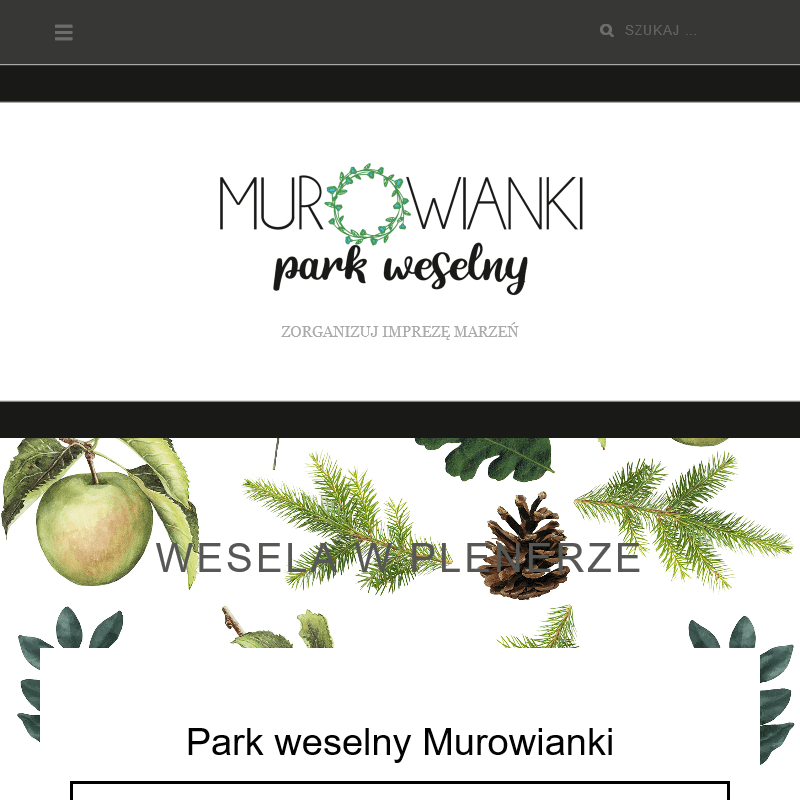 Ślub i wesele w plenerze w Wielkopolsce