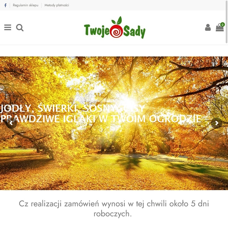 Porzeczka czerwona i czarna